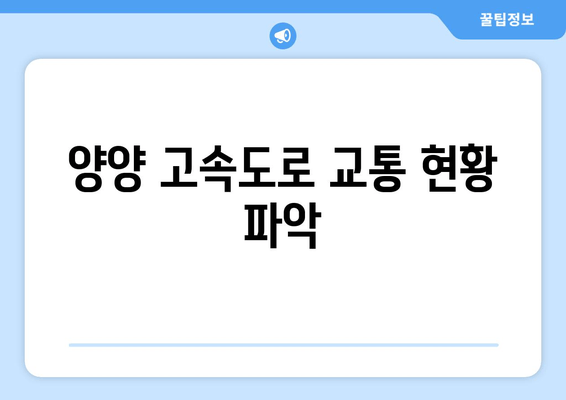 양양 고속도로 교통 현황 파악