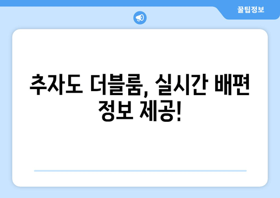 추자도 더블룸, 실시간 배편 정보 제공!