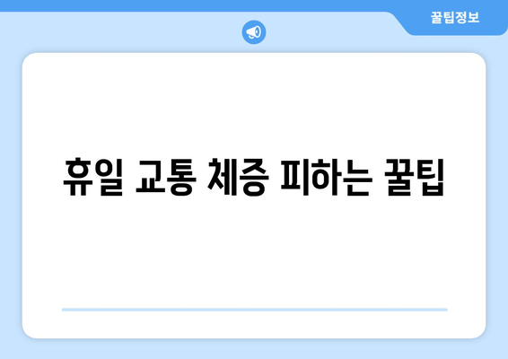 휴일 교통 체증 피하는 꿀팁