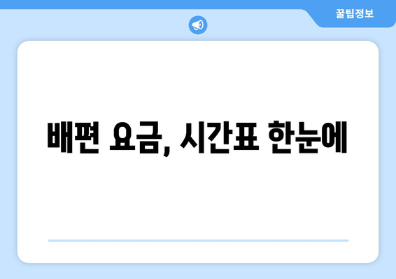 배편 요금, 시간표 한눈에