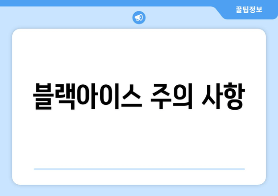 블랙아이스 주의 사항