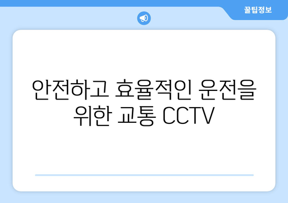 안전하고 효율적인 운전을 위한 교통 CCTV