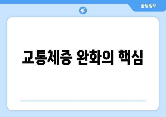 교통체증 완화의 핵심