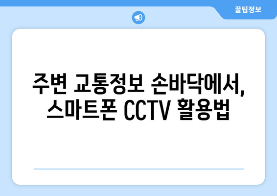 주변 교통정보 손바닥에서, 스마트폰 CCTV 활용법