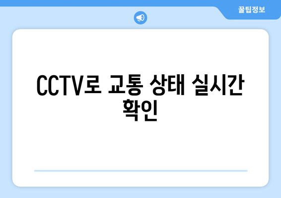 CCTV로 교통 상태 실시간 확인