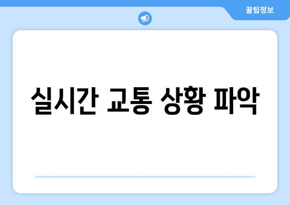 실시간 교통 상황 파악