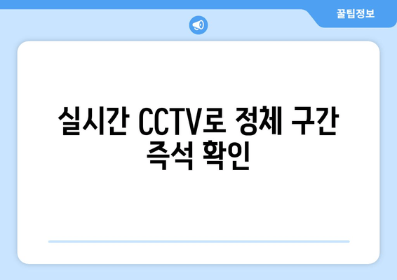 실시간 CCTV로 정체 구간 즉석 확인