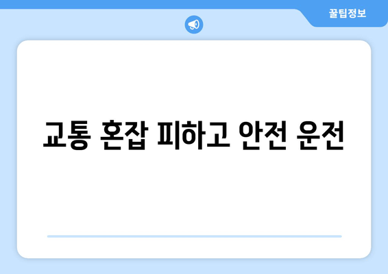 교통 혼잡 피하고 안전 운전