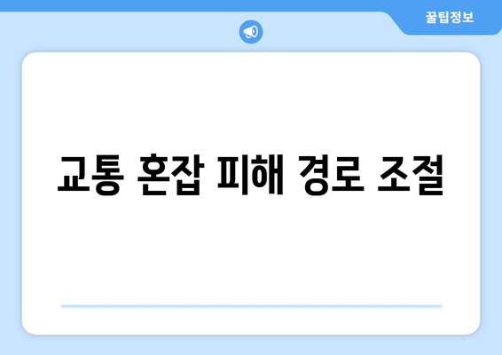 교통 혼잡 피해 경로 조절