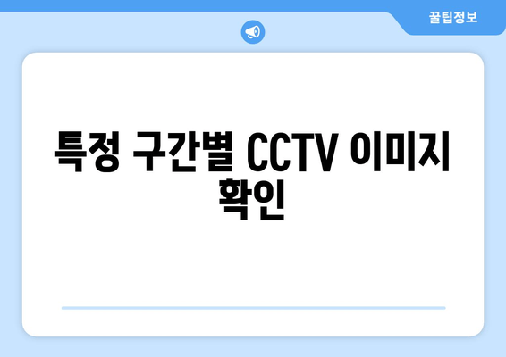 특정 구간별 CCTV 이미지 확인