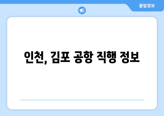 인천, 김포 공항 직행 정보