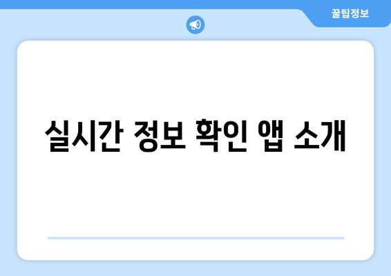 실시간 정보 확인 앱 소개