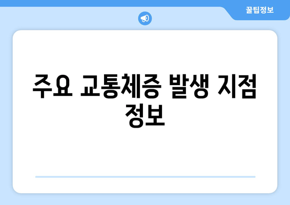 주요 교통체증 발생 지점 정보