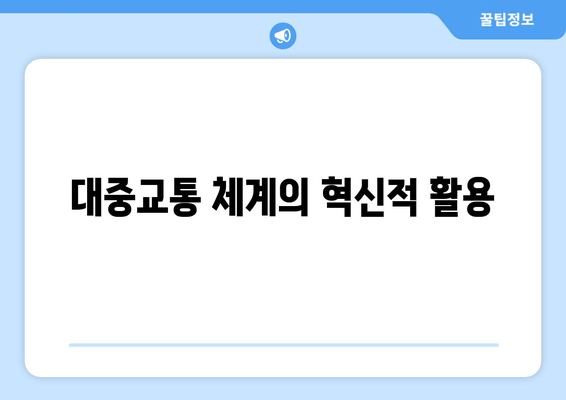 대중교통 체계의 혁신적 활용