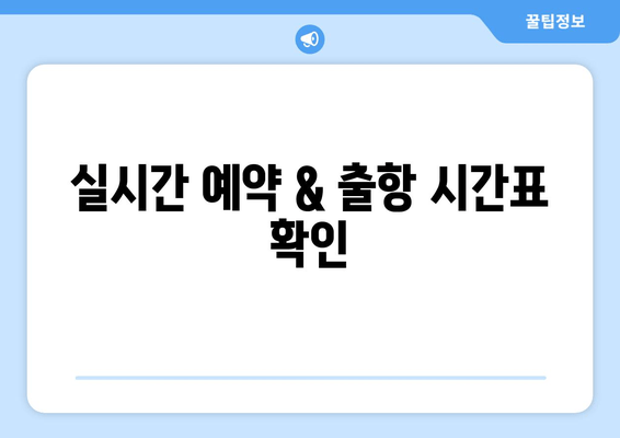 실시간 예약 & 출항 시간표 확인