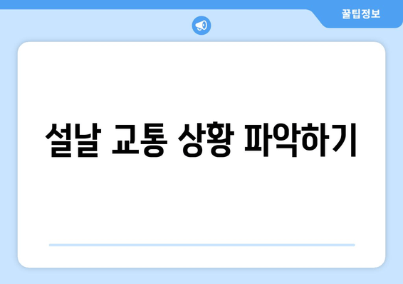 설날 교통 상황 파악하기