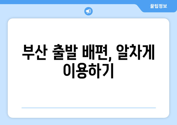 부산 출발 배편, 알차게 이용하기