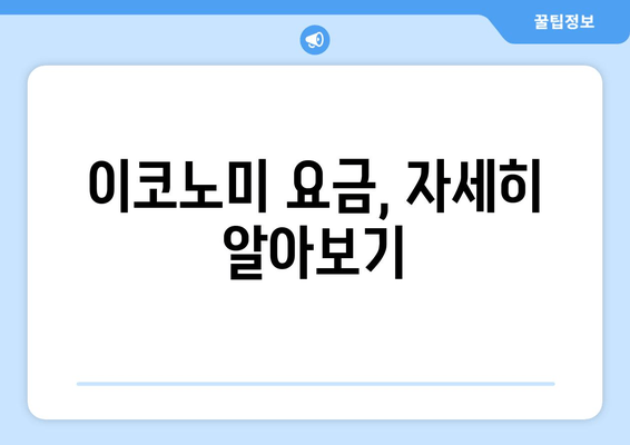 이코노미 요금, 자세히 알아보기