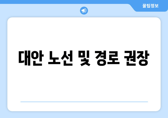 대안 노선 및 경로 권장