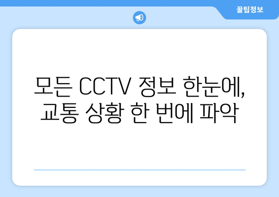 모든 CCTV 정보 한눈에, 교통 상황 한 번에 파악