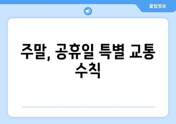 주말, 공휴일 특별 교통 수칙