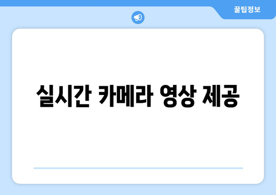 실시간 카메라 영상 제공