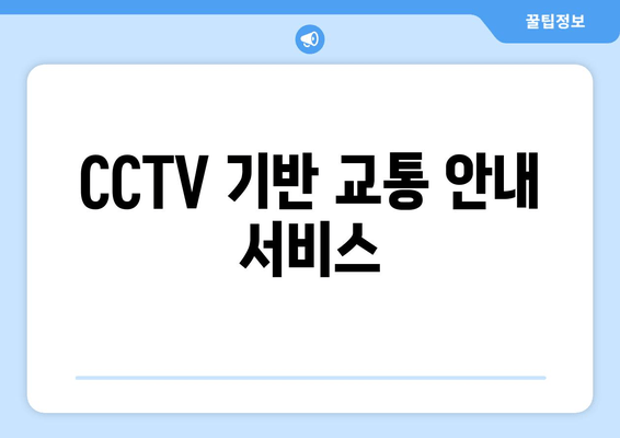 CCTV 기반 교통 안내 서비스