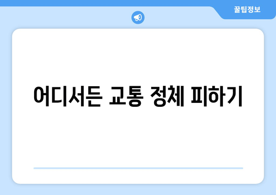 어디서든 교통 정체 피하기