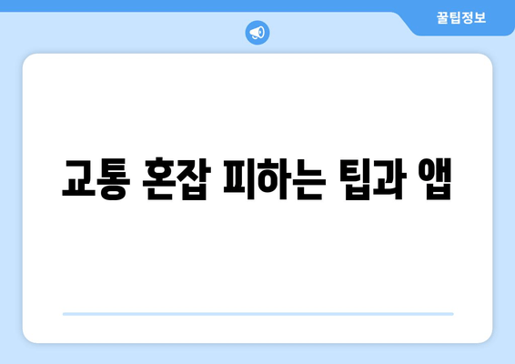 교통 혼잡 피하는 팁과 앱