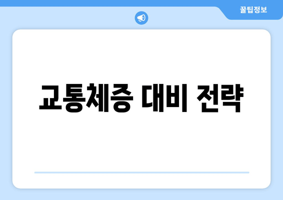 교통체증 대비 전략