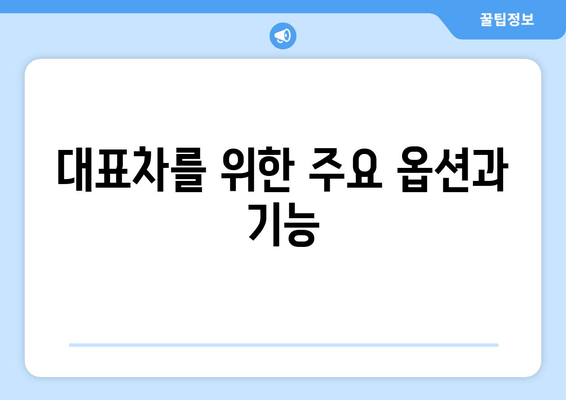 대표차를 위한 주요 옵션과 기능