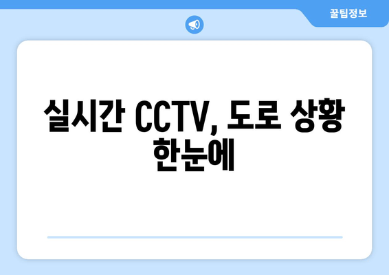 실시간 CCTV, 도로 상황 한눈에