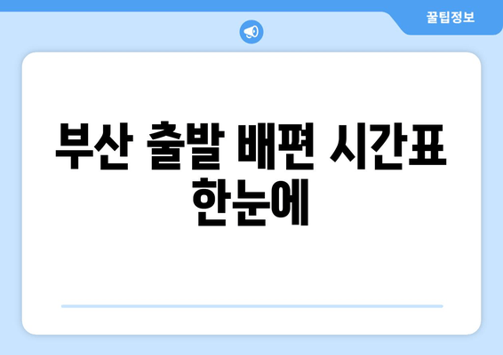 부산 출발 배편 시간표 한눈에