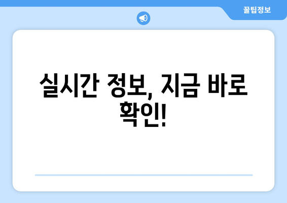 실시간 정보, 지금 바로 확인!