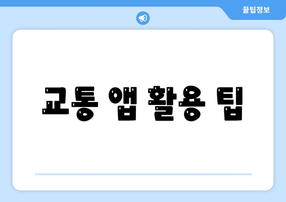 교통 앱 활용 팁