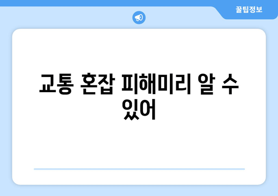 교통 혼잡 피해미리 알 수 있어