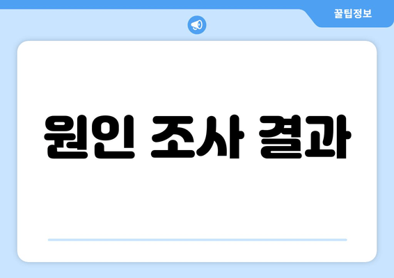 원인 조사 결과