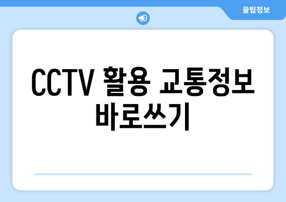 CCTV 활용 교통정보 바로쓰기