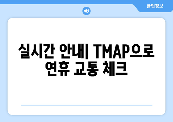 실시간 안내| TMAP으로 연휴 교통 체크