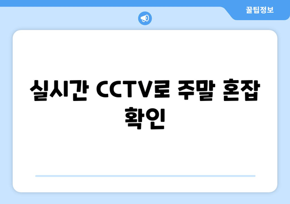 실시간 CCTV로 주말 혼잡 확인