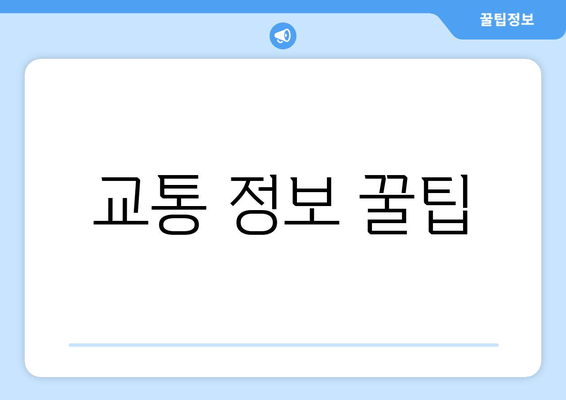 교통 정보 꿀팁