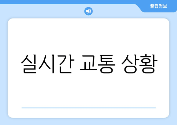 실시간 교통 상황