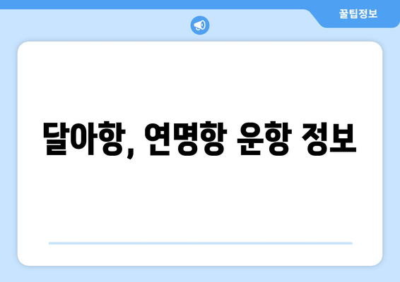 달아항, 연명항 운항 정보