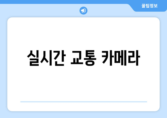 실시간 교통 카메라