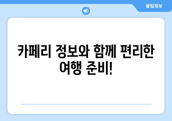 카페리 정보와 함께 편리한 여행 준비!