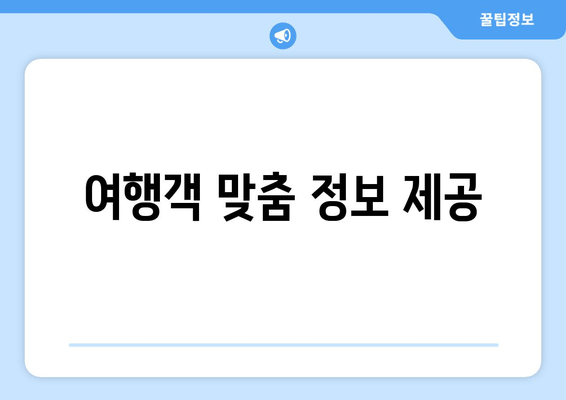 여행객 맞춤 정보 제공