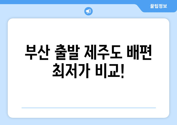 부산 출발 제주도 배편 최저가 비교!