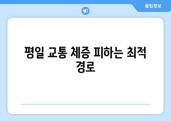 평일 교통 체증 피하는 최적 경로