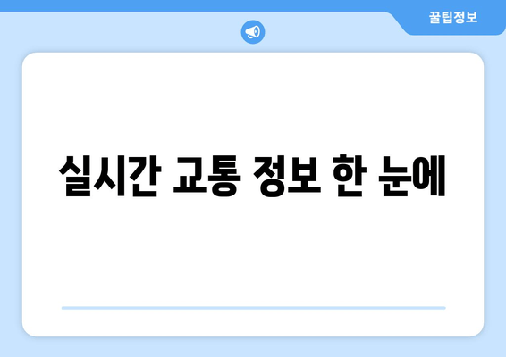 실시간 교통 정보 한 눈에