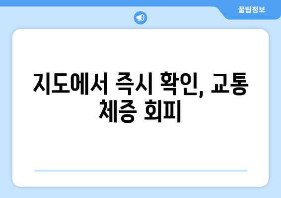 지도에서 즉시 확인, 교통 체증 회피